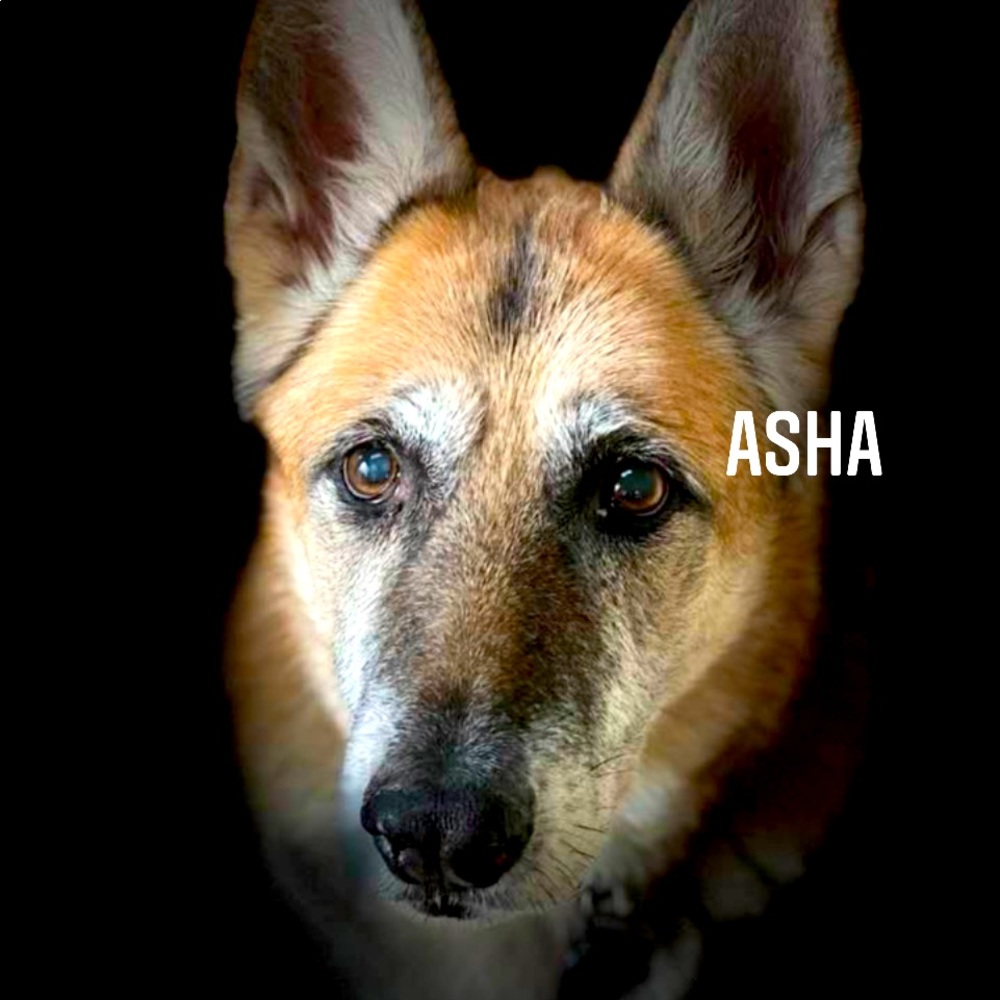 Meet your Posher, Debra